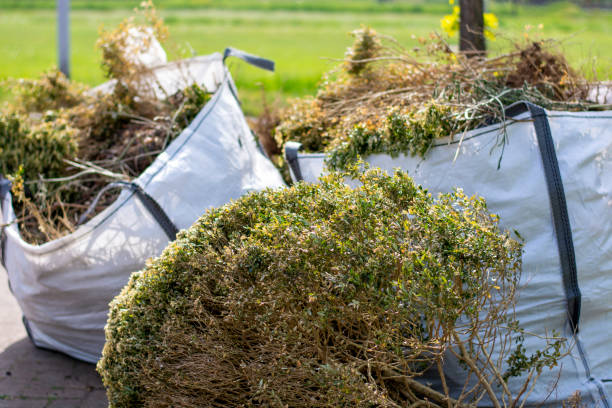 Best Yard Waste Removal  in Ford City, CA